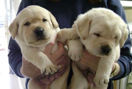 19 days old